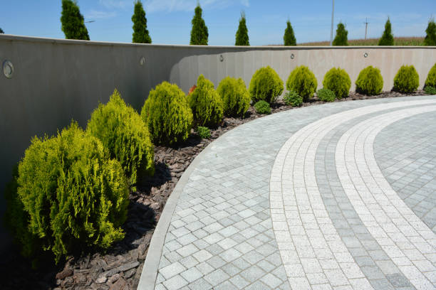 Best Residential Paver Driveway  in Newport, DE